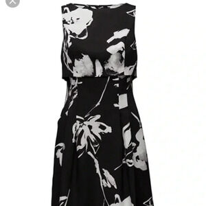 Lauren by Ralph Lauren Lamona Popover dress. BNWT SZ 10